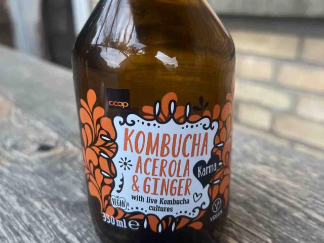 Kombucha, Acerola&Ginger von zubasa | Hochgeladen von: zubasa