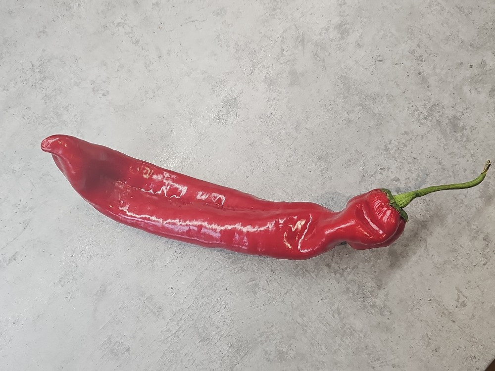 Hochgeladen von: mauro.tamm@gmail.com