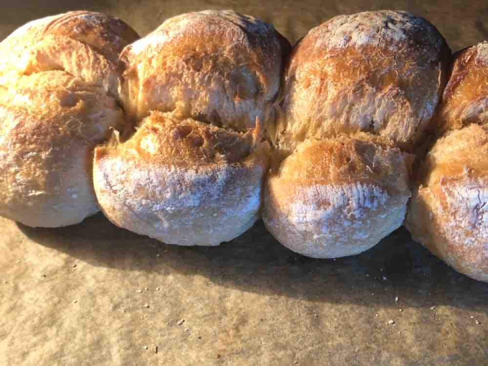 Dinkel-Zupfbrot Bio, Bioselfies von Sylkusch | Hochgeladen von: Sylkusch