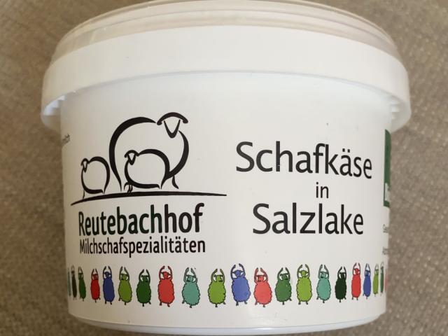 Bioland Schafkäse in Salzlake, 45 % von Rambony | Hochgeladen von: Rambony