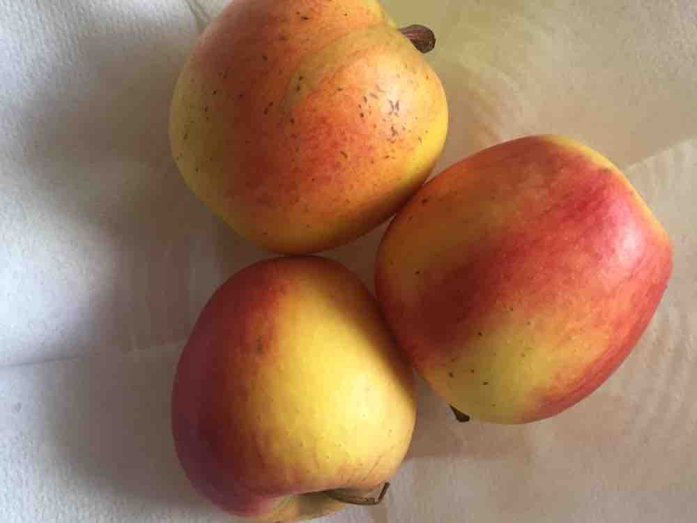 Apfel, Pinova von georg55 | Hochgeladen von: georg55