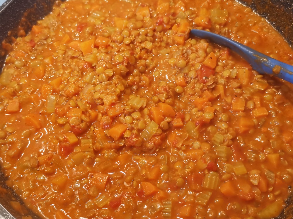 Dal Bolognese, vegetarisch von haney | Hochgeladen von: haney