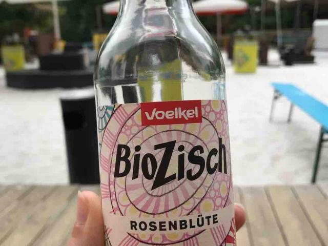 BioZisch, Rosenblüte von hexeschrumpeldei106 | Hochgeladen von: hexeschrumpeldei106