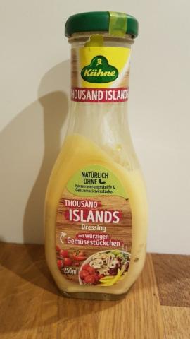 Thousand Island Dressing, mit würzigen Gemüsestückchen von frnzm | Hochgeladen von: frnzm