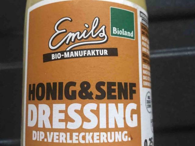 Emils Honig & Senf Dressing von benitaschuette552 | Hochgeladen von: benitaschuette552