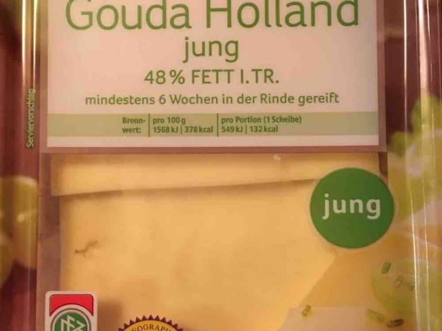 Gouda Holland jung, 48% Fett i. Tr. von ingo1199 | Hochgeladen von: ingo1199