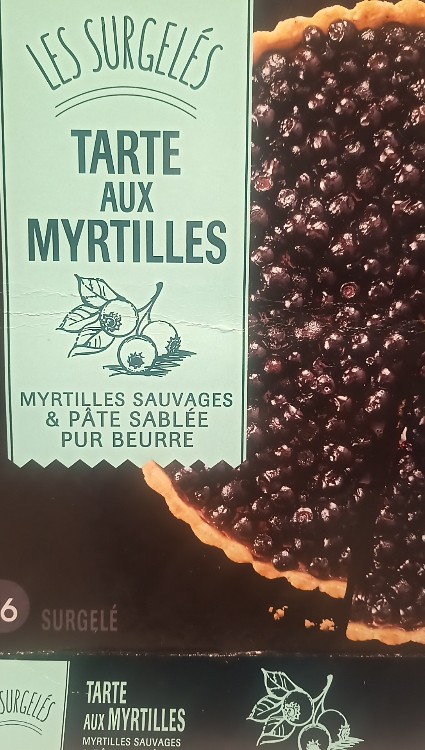 Tarte aux Myrtilles, Heidelbeer Tarte von haraldhi | Hochgeladen von: haraldhi