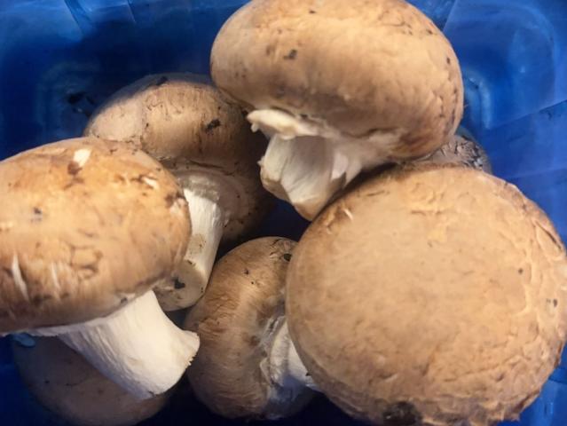 Hochgeladen von: TinaTet