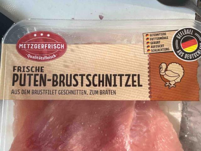 Frische Puten-Brustschnitzel by Brutus96 | Hochgeladen von: Brutus96