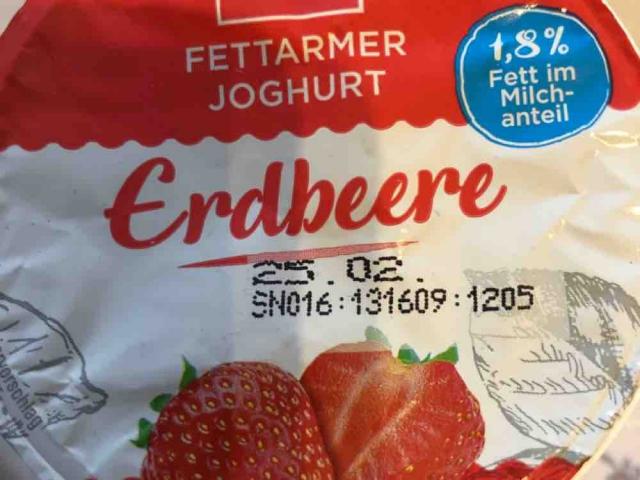 Fettarmer Jughurt Erdberre, 1,8 % Fett im Milchanteil von IrimaN | Hochgeladen von: IrimaNiquesse