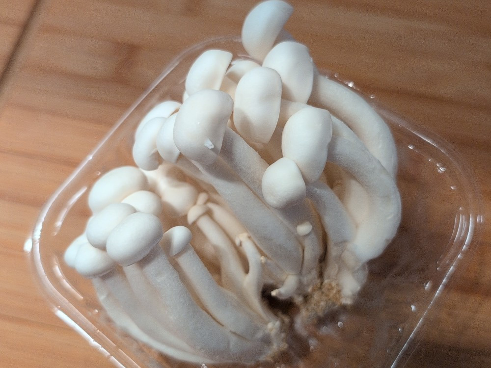 Hochgeladen von: Franziska3889