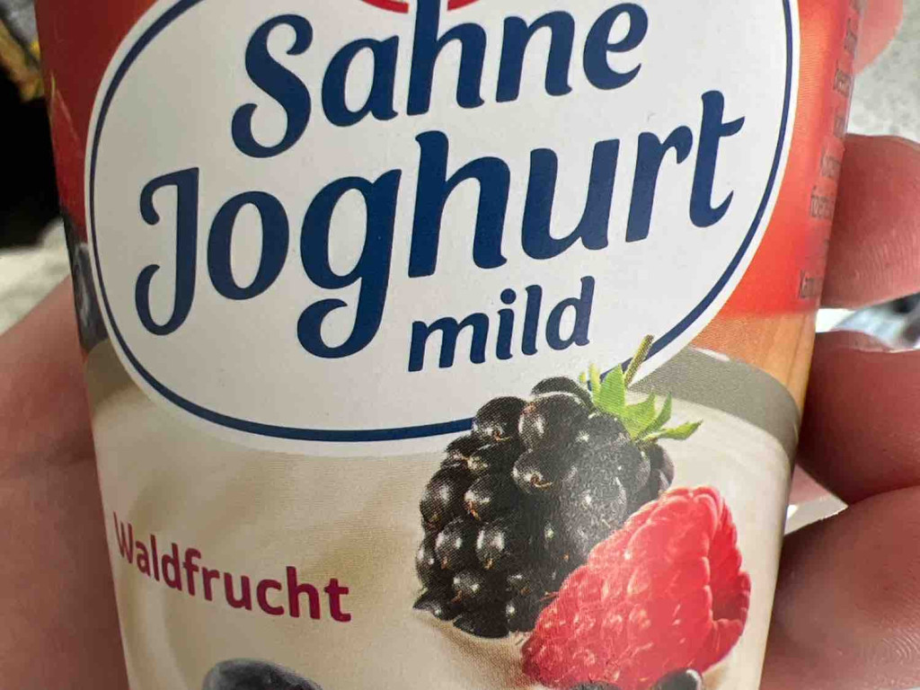 Sahne Joghurt Waldfrucjt von renat1h | Hochgeladen von: renat1h