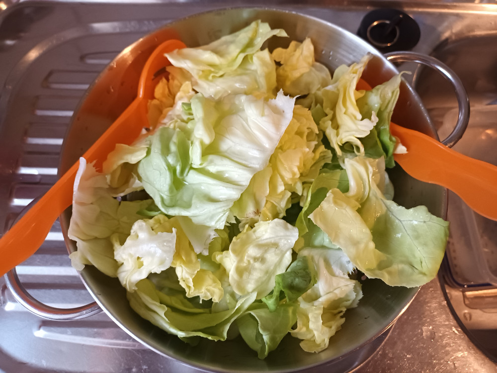 Kopfsalat mit Kräutern und Salatöl von Sylvia Engelskirchen | Hochgeladen von: Sylvia Engelskirchen