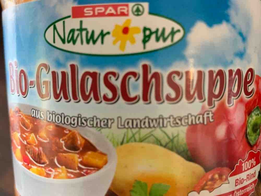 Bio Gulaschsuppe  von Wald4tler | Hochgeladen von: Wald4tler