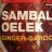 Sambal Oelek, Ginger-Garlic by VLB | Hochgeladen von: VLB