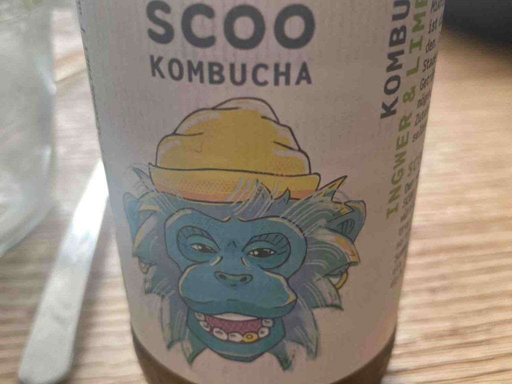 Scoo Kombucha, Ingwer & Limette by BenjaminElefant | Hochgeladen von: BenjaminElefant