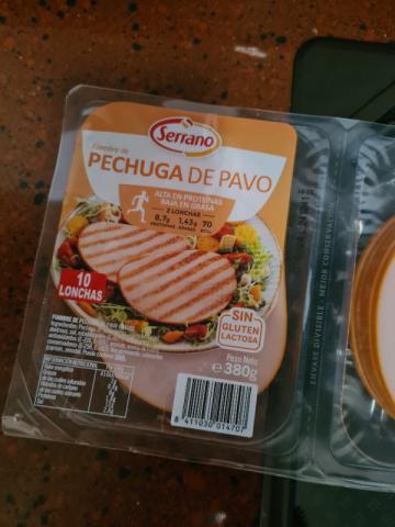 pechuga de pavo, sin Gluten lactosa von Janinchen7 | Hochgeladen von: Janinchen7