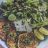 Zucchini-Käse-Puffer mit Pflücksalat von Janey | Hochgeladen von: Janey