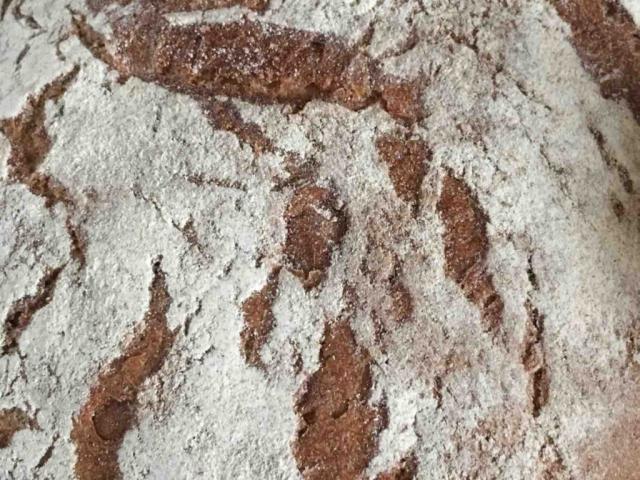 Steinofenbrot von FiniMiez | Hochgeladen von: FiniMiez