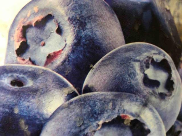Tesco Frozen Blueberries by aberendsen711520 | Uploaded by: aberendsen711520