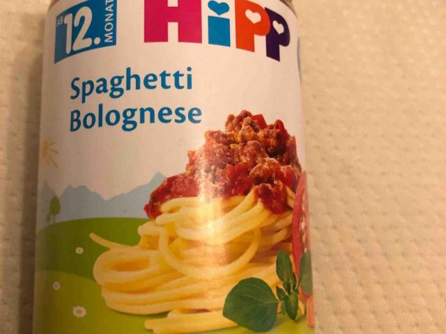 Bio Spaghetti Bolognese  von thomasfuenning203 | Hochgeladen von: thomasfuenning203