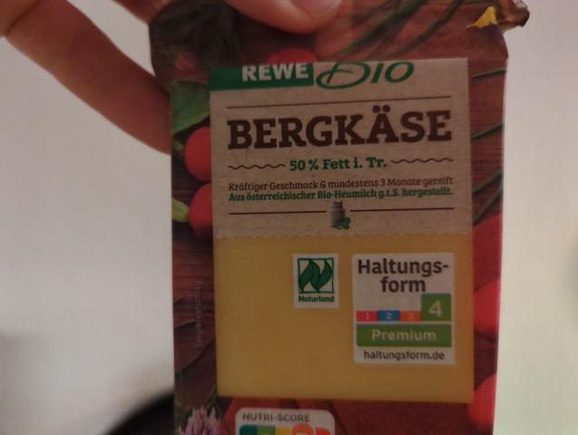 Bergkäse, 50 % Fett i. Tr. by letsgochamp | Uploaded by: letsgochamp