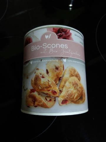 Bio-Scones, mit Bio-Zimtzucker von volati77 | Hochgeladen von: volati77