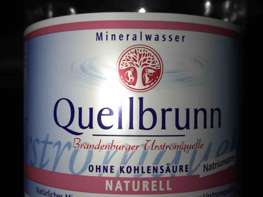 Quellbrunn, Naturell, ohne Kohlensäure, natriumarm von a.user.de | Hochgeladen von: a.user.de