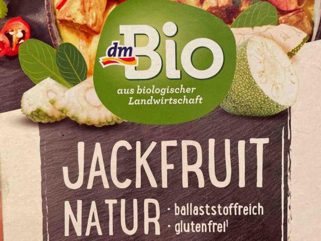 Jackfruit von engelssippen | Hochgeladen von: engelssippen