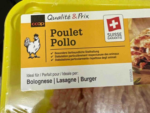 Poulet Hackfleisch Bolognese von wermelingermatthias | Hochgeladen von: wermelingermatthias