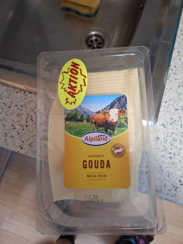 Gouda 45% Fett von 51369nico | Hochgeladen von: 51369nico