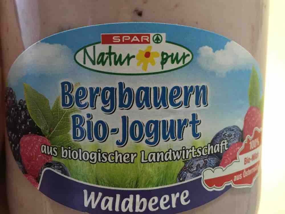Bergbauern Bio-Joghurt Waldbeere, 3,6% Fett von ChristineReitter | Hochgeladen von: ChristineReitter