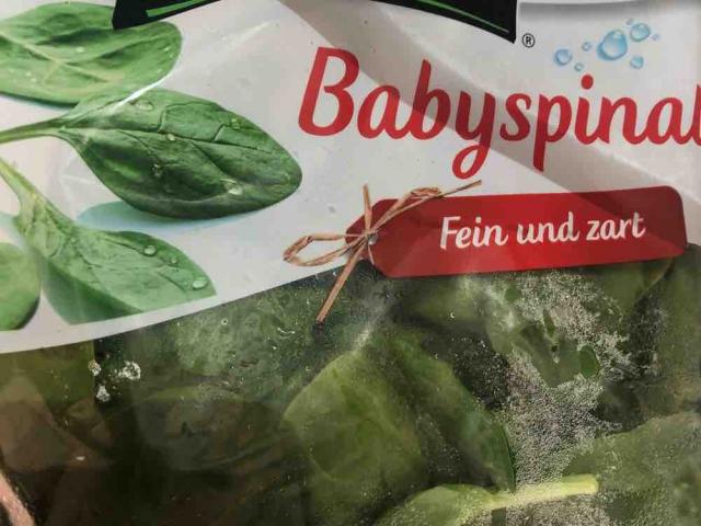 Babyspinat, fein und zart von kyramo | Hochgeladen von: kyramo