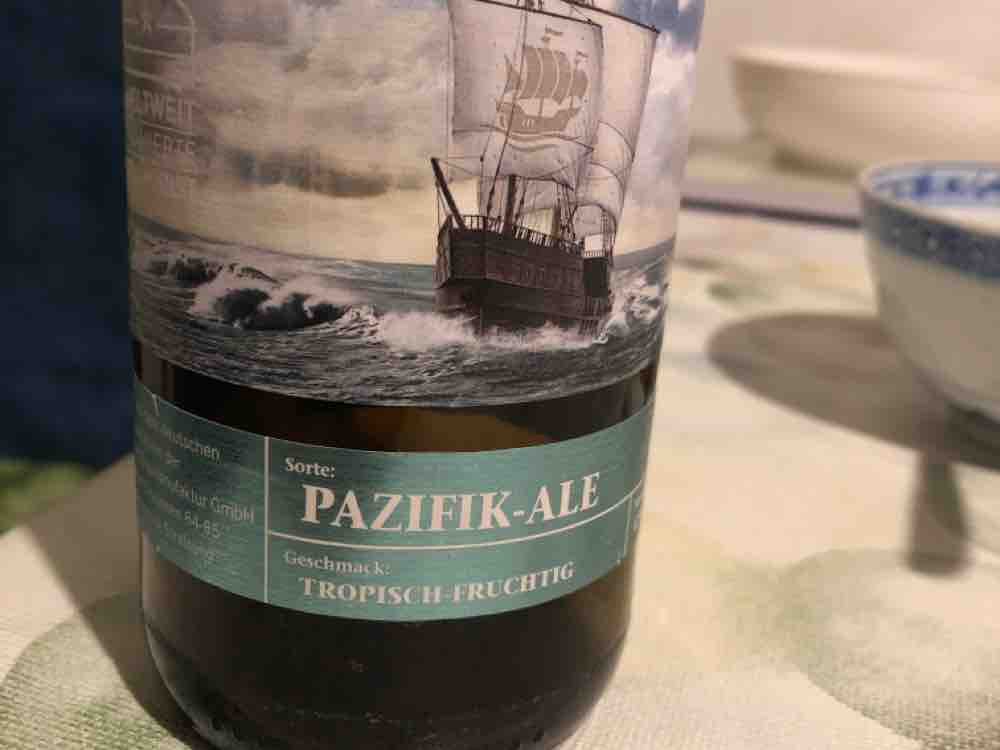 Pazifik-Ale, Bier mit 6,5% von kha29 | Hochgeladen von: kha29
