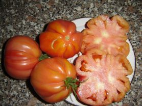 Cuore di bue (Ochsenherz-Tomate) | Hochgeladen von: cantaloupe