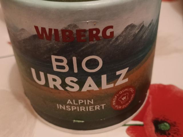 Bio Ursalz, Alpin inspiriert von lost in a good story | Hochgeladen von: lost in a good story Bio Ursalz, Alpin inspiriert von lost in a good story | Hochgeladen von: lost in a good story