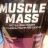 muscle mass von mariok85 | Hochgeladen von: mariok85