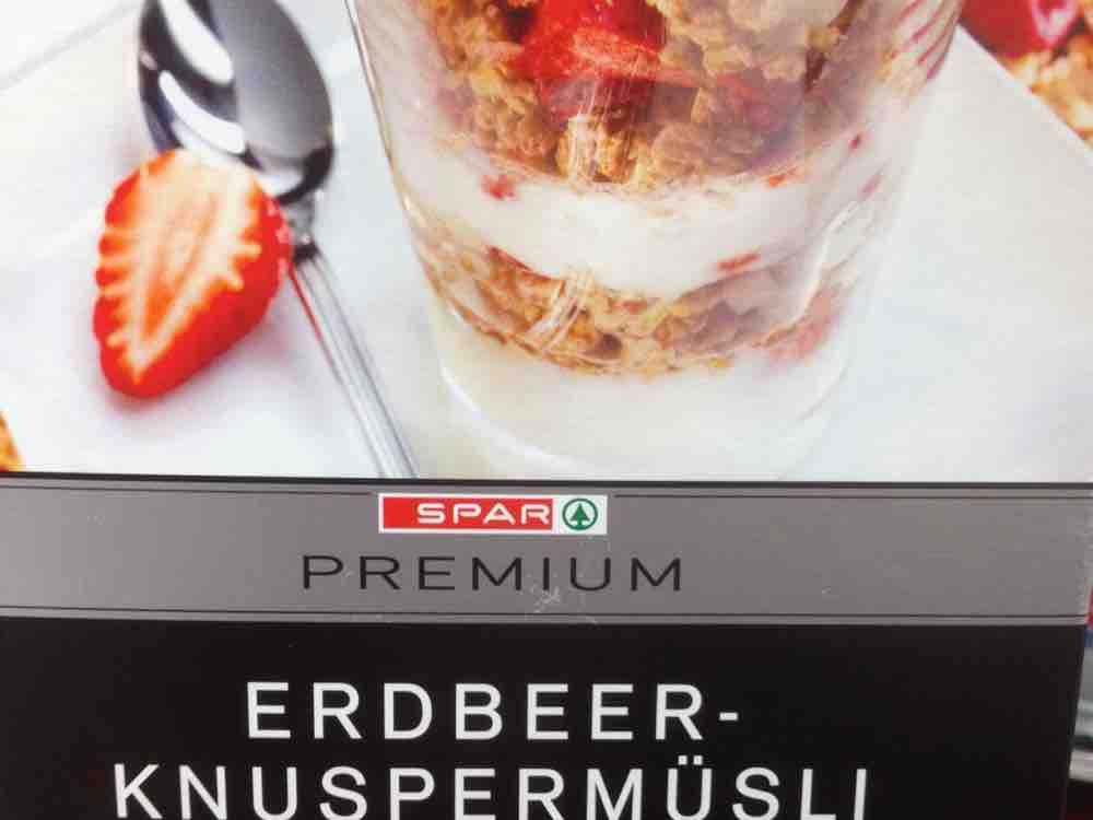 Erdbeer Knuspermsli, mit 11 % Beeren von Marlene74 | Hochgeladen von: Marlene74