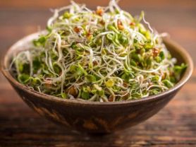 Mikrosalat / Microgreens | Hochgeladen von: swainn