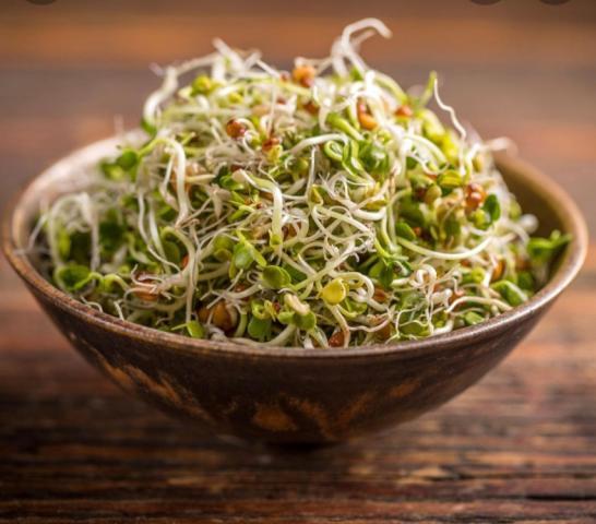 Mikrosalat / Microgreens | Hochgeladen von: swainn