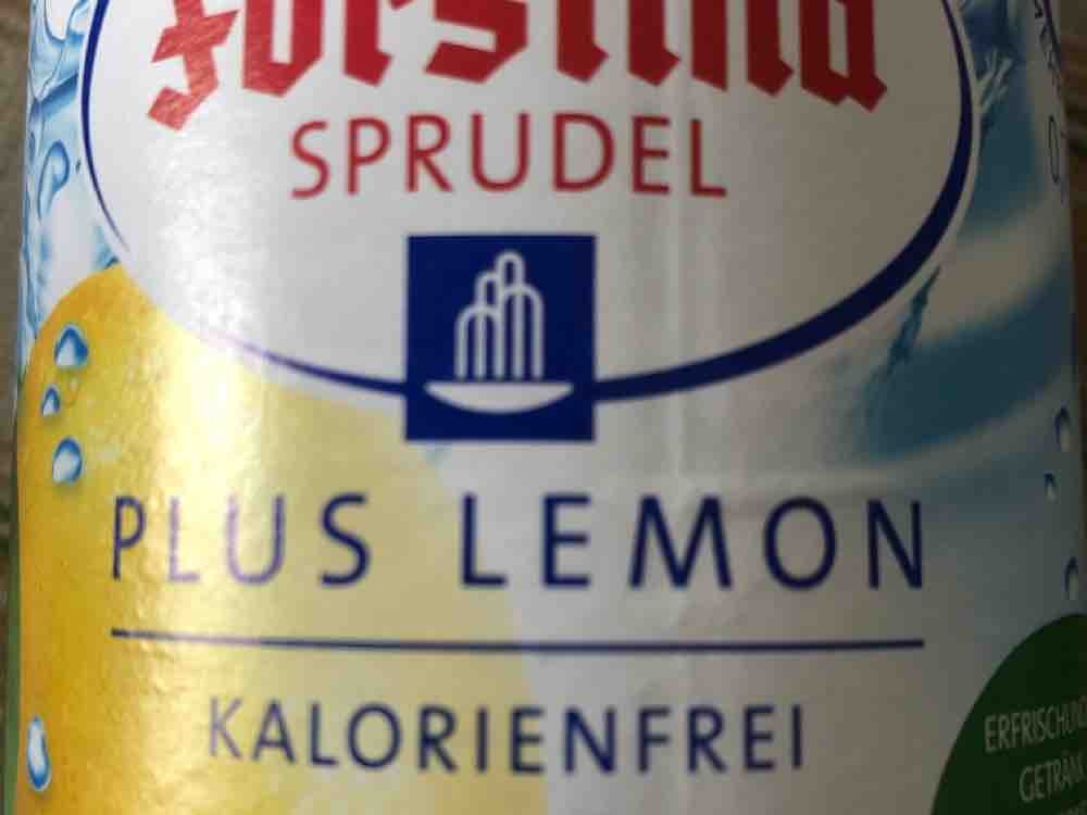 Sprudel, Lemon von Vogel | Hochgeladen von: Vogel