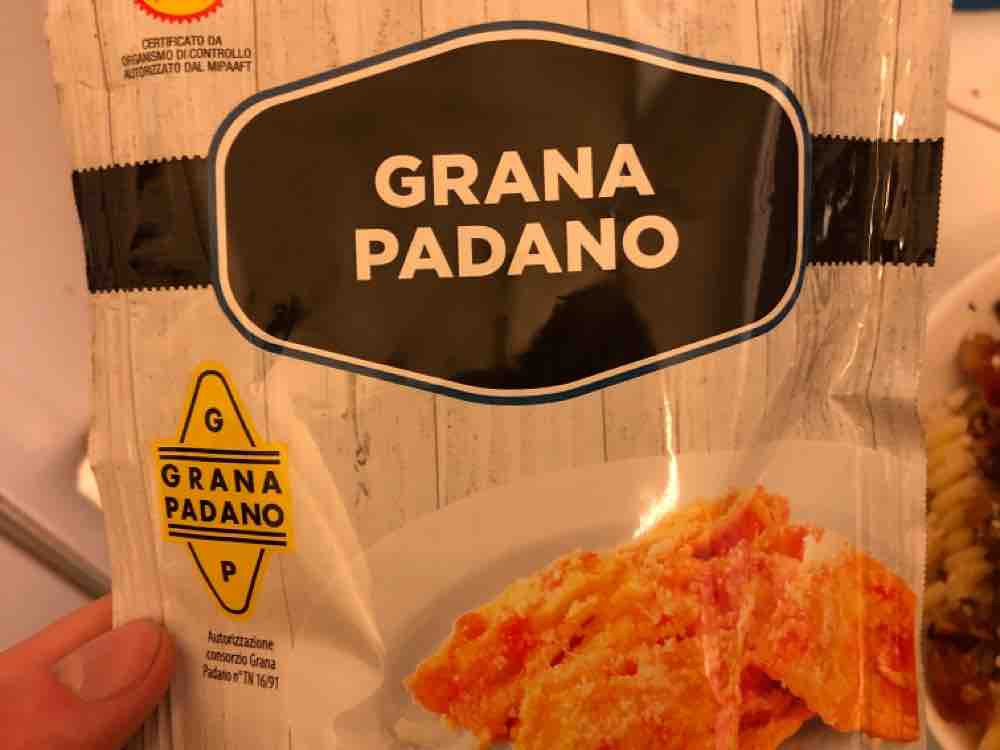 Queso Grana Padano Rallado von leonhennig | Hochgeladen von: leonhennig