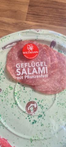 Geflügel -Salami mit Pflanzenfett von Patrick- 88- | Hochgeladen von: Patrick- 88-