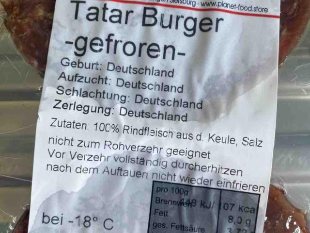 Tatar Burger von Belenos11 | Hochgeladen von: Belenos11