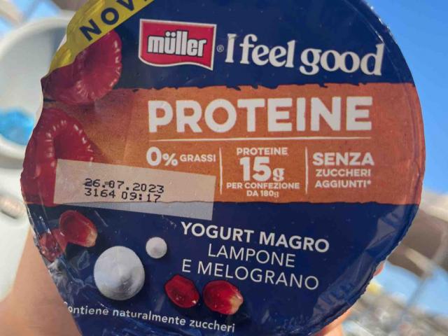 I feel good Yogurt, Protein by LinoDiCristofano | Uploaded by: LinoDiCristofano