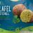 Falaffel by KateLi | Hochgeladen von: KateLi