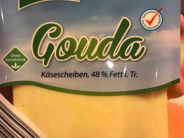 Gouda 48% Fett i. Tr. von Tobs945 | Hochgeladen von: Tobs945