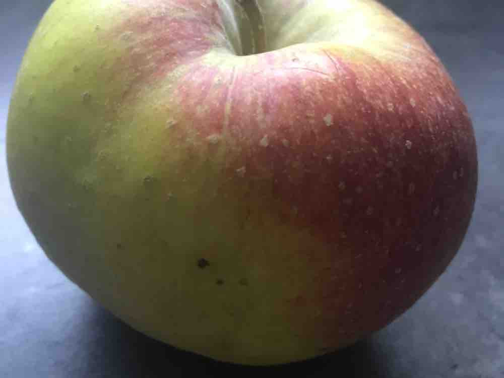 Apfel (Wellant) von Roumiana | Hochgeladen von: Roumiana