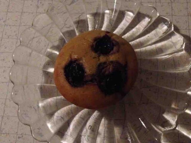 Low Carb Blaubeer Muffin von Eva Schokolade | Hochgeladen von: Eva Schokolade