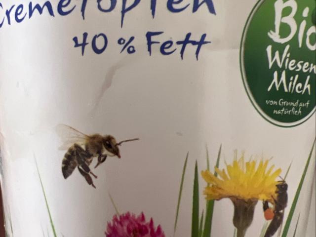 cremetopfen 40% von HeikeLoAm | Hochgeladen von: HeikeLoAm